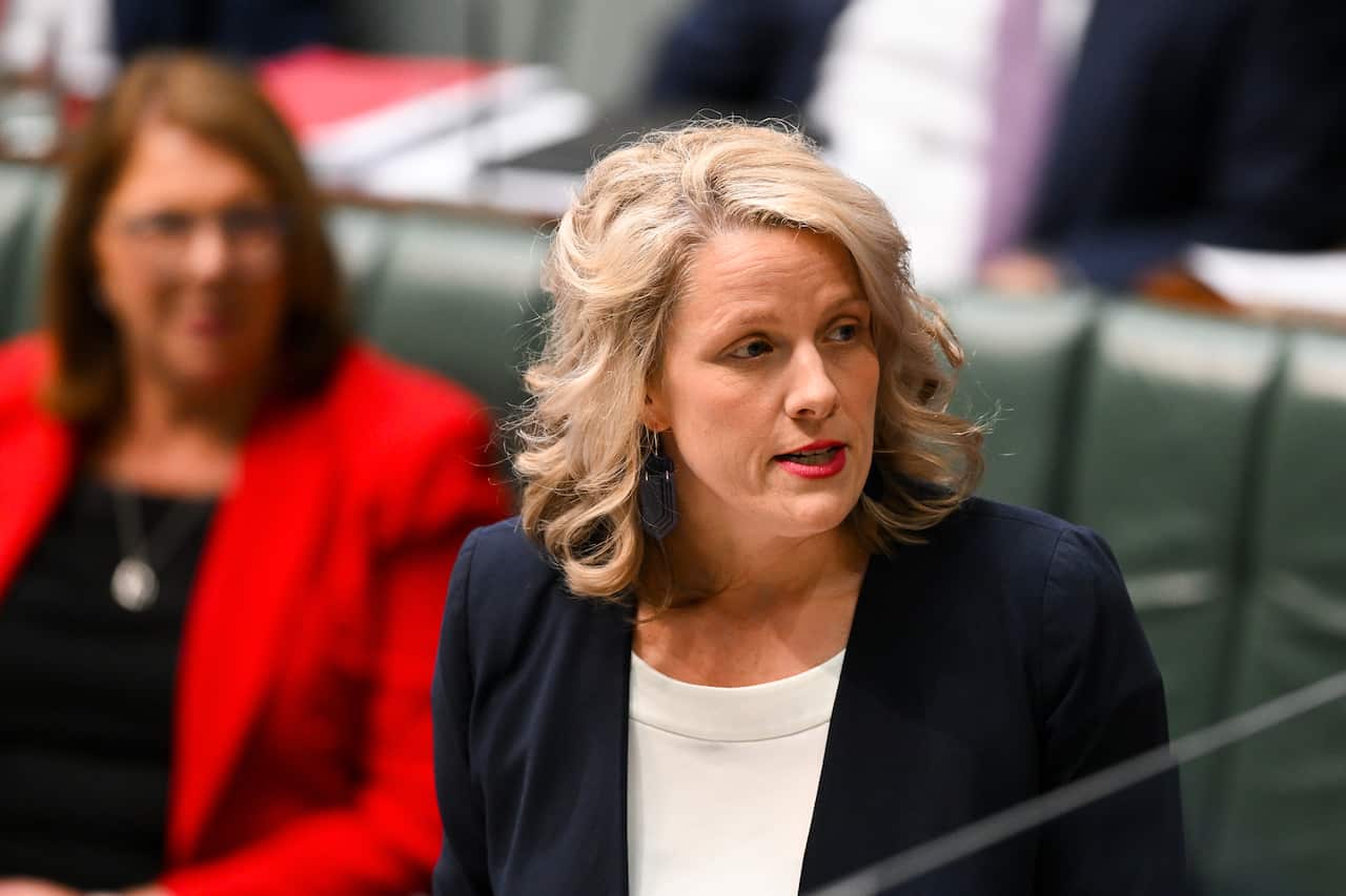 Clare O'Neil, wearing a white shirt and dark blue jacket, speaks in parliament. 