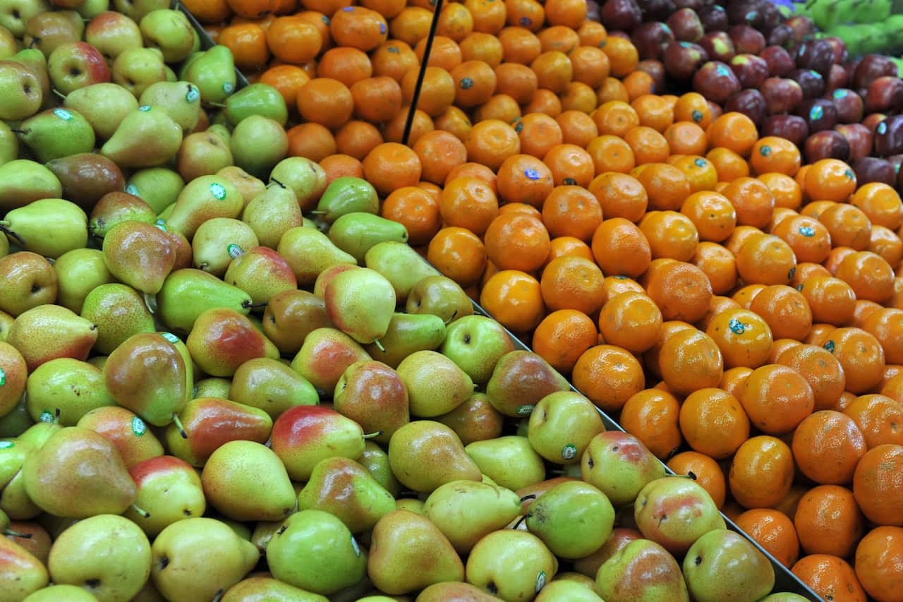 FRESH FOOD STOCK