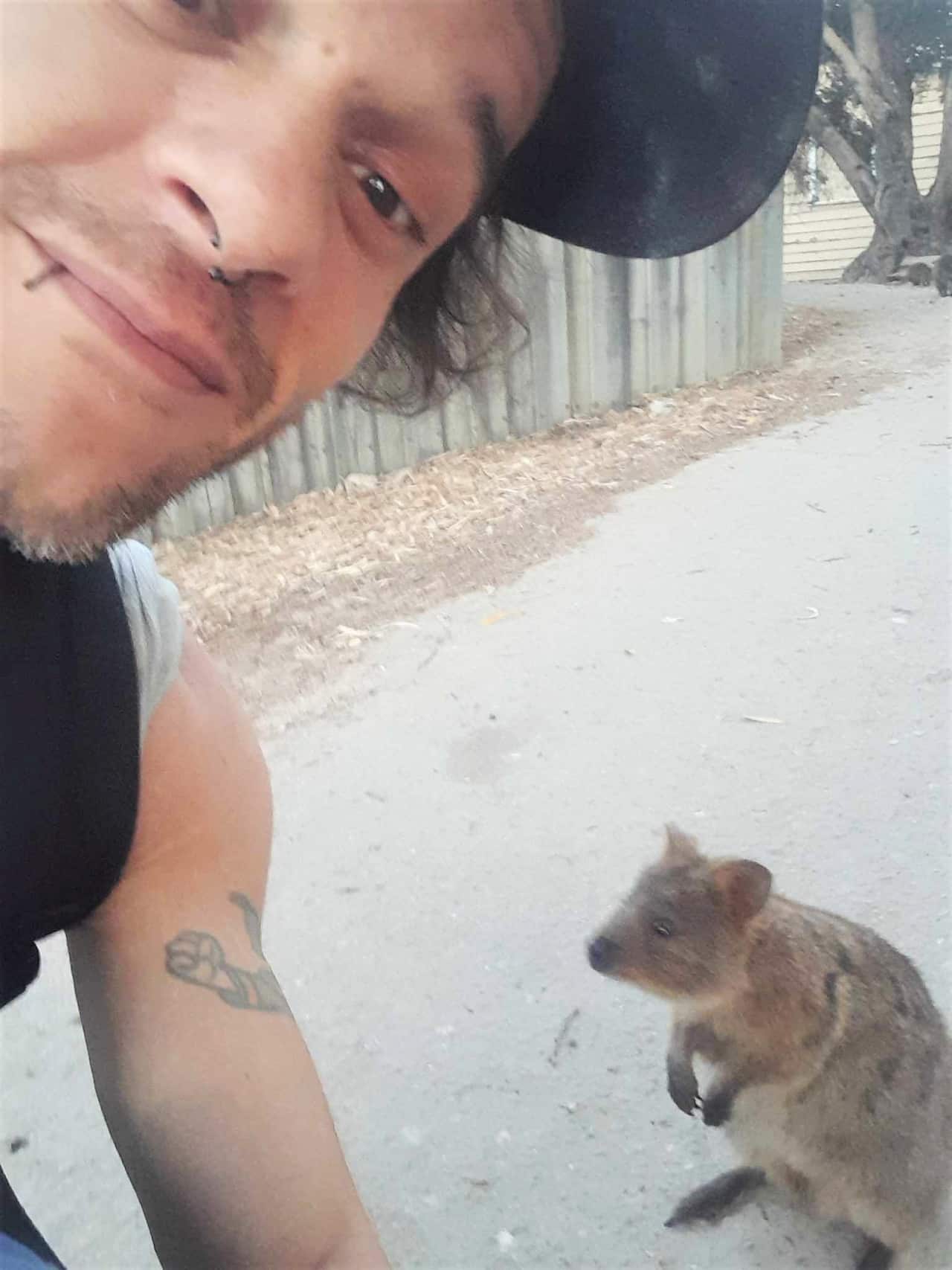 Matteo Borra quokka selfie