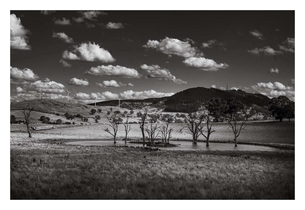 Andrievski orange.jpg