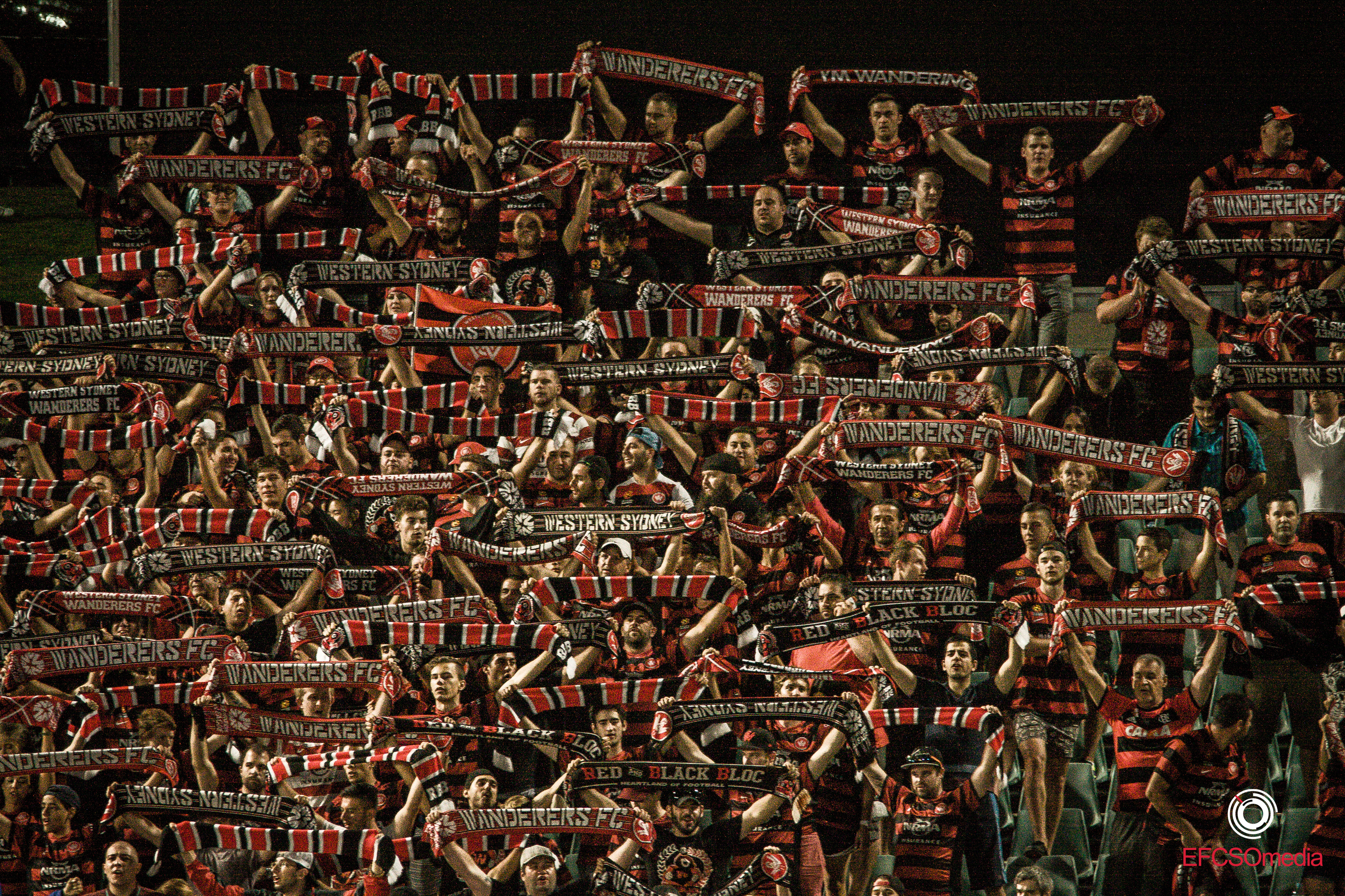 Football fans at a match. 