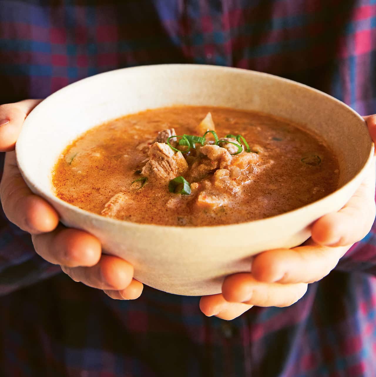 Ground soybean stew with pork crop.jpg