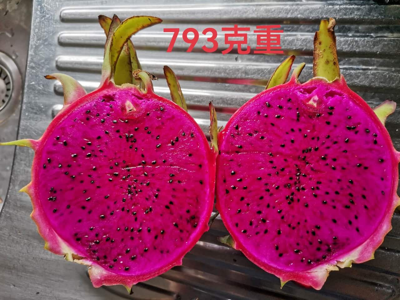 WeChat Image_20230325063754.jpg