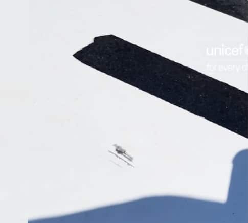 Bulletholes in a car