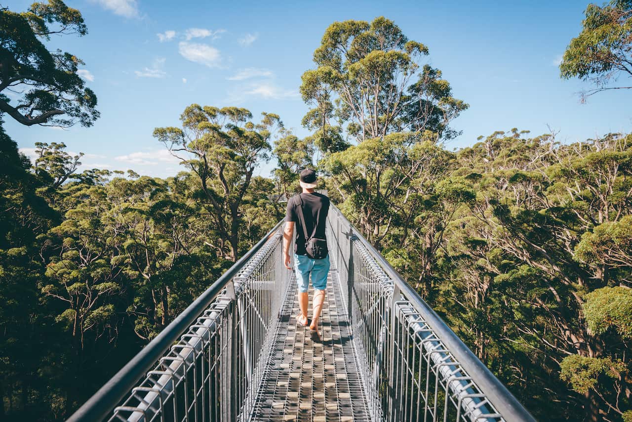 Valley of the Giants Walpole