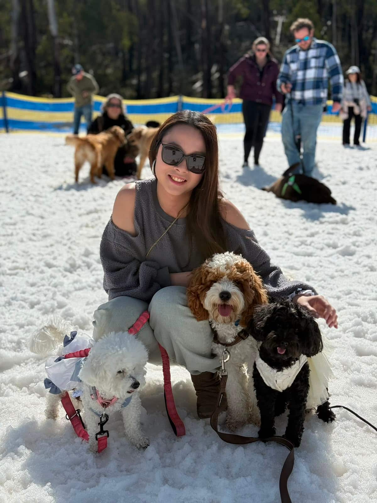 Natalie 相信愛心和責任感很重要,因為主人將最重要的家人交託照顧,這份信任好重要。