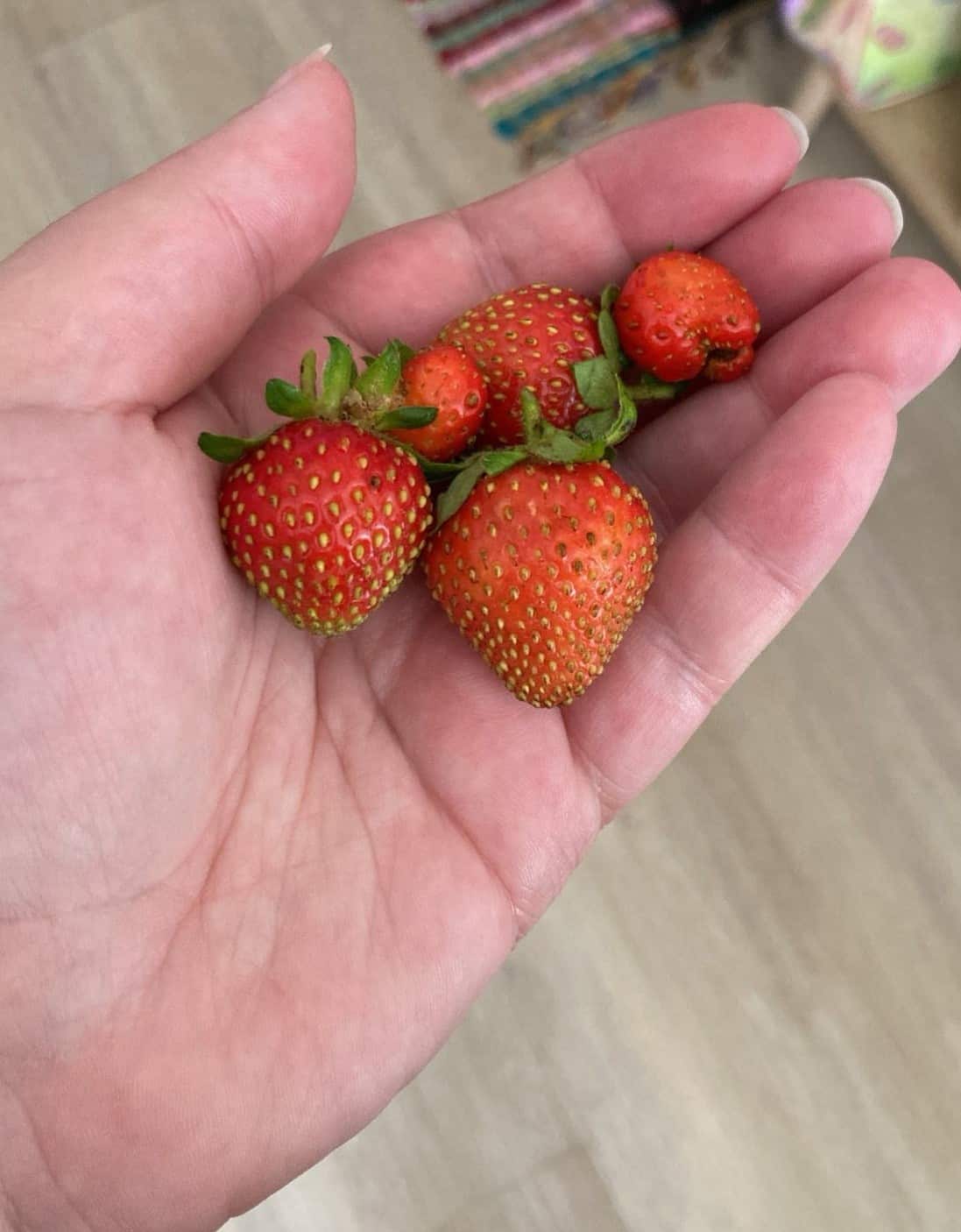 Some small strawberries in the palm of the hand.
