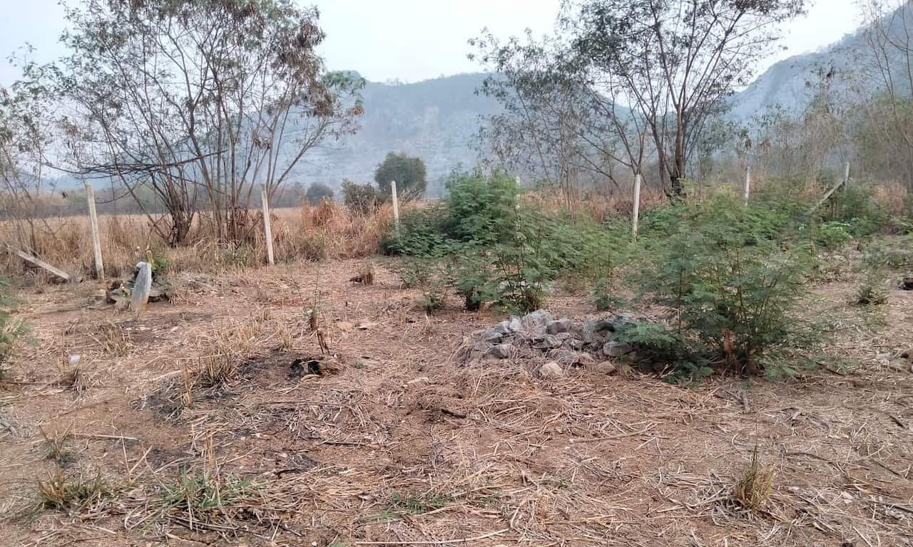 Grave 1 -Nao Tou Lor.jpg