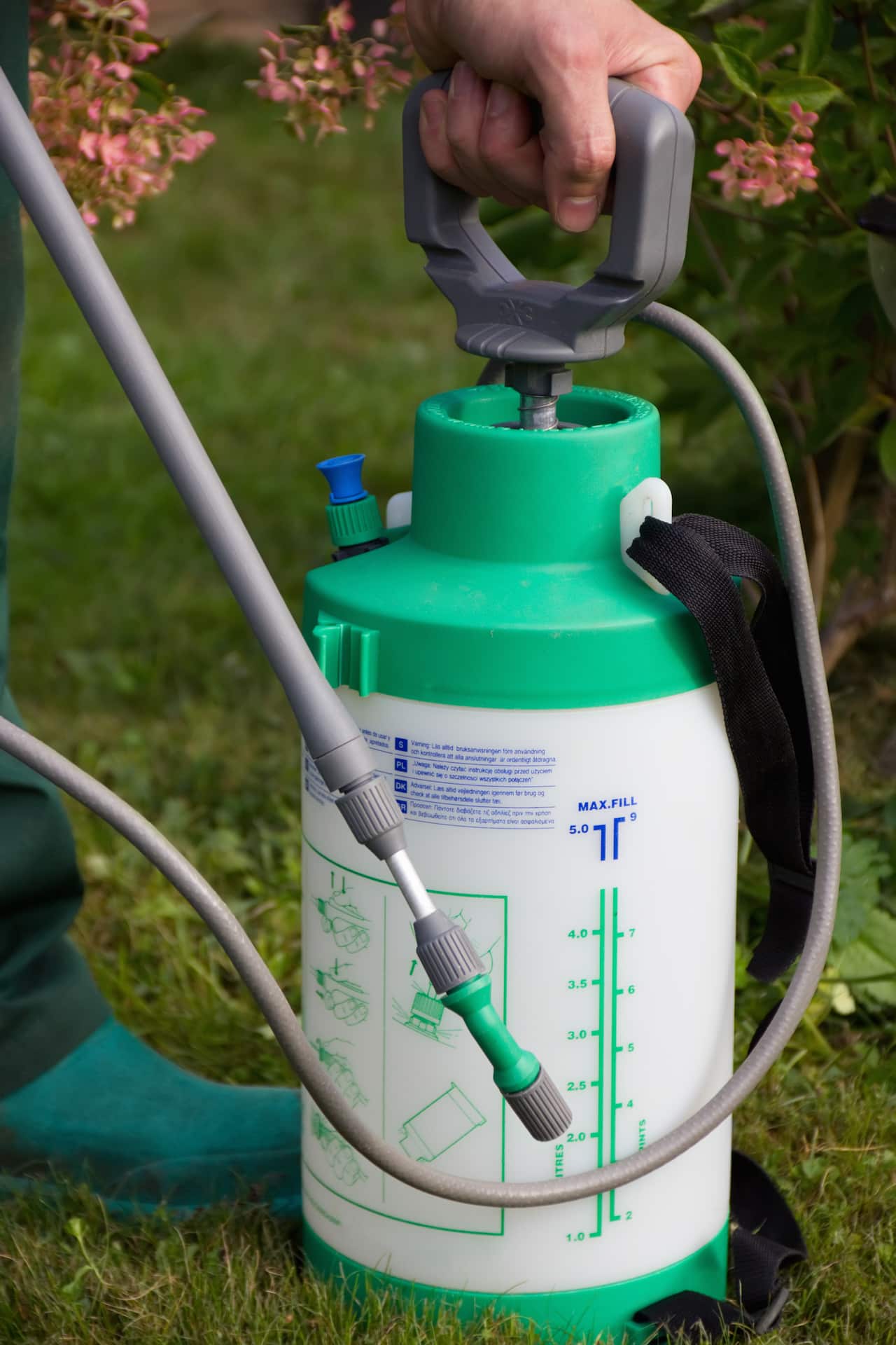 man's hand with a sprayer to fertilize