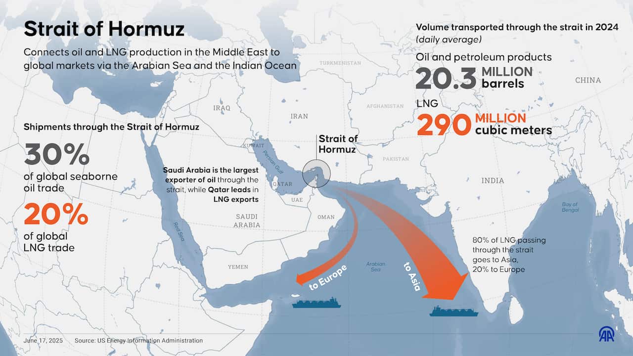 An infographic titled Strait of Hormuz detailing shipments that pass through it.