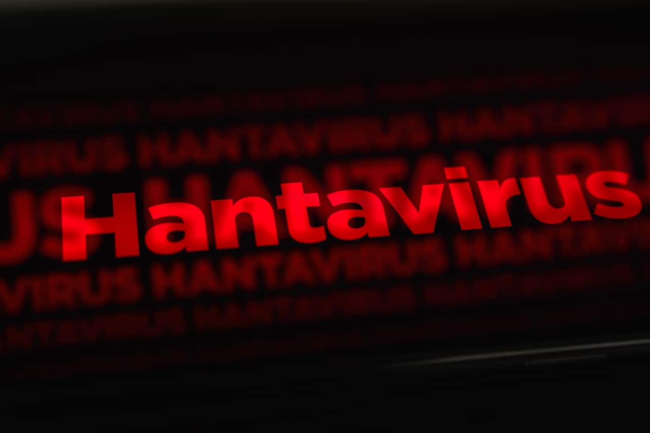 Photo Illustrations Hantavirus And WHO