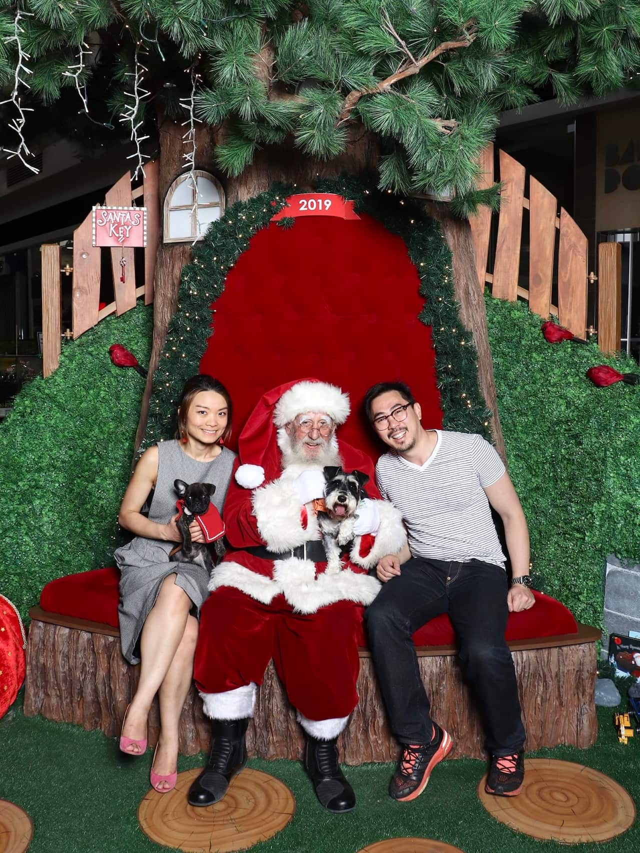 Candy Ng 2019 Currently living happily ever after with my husband and 2 dogs, Gin and Gizmo_melbourne fine artist_candyngart.jpg