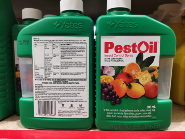 Pest Oil