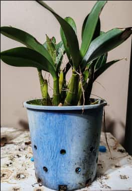 Screenshot 2024-08-09 102151.png