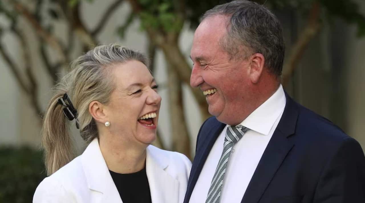 Barnaby Joyce and Bridget McKenzie are captured in a moment of shared laughter, looking happily at each other.