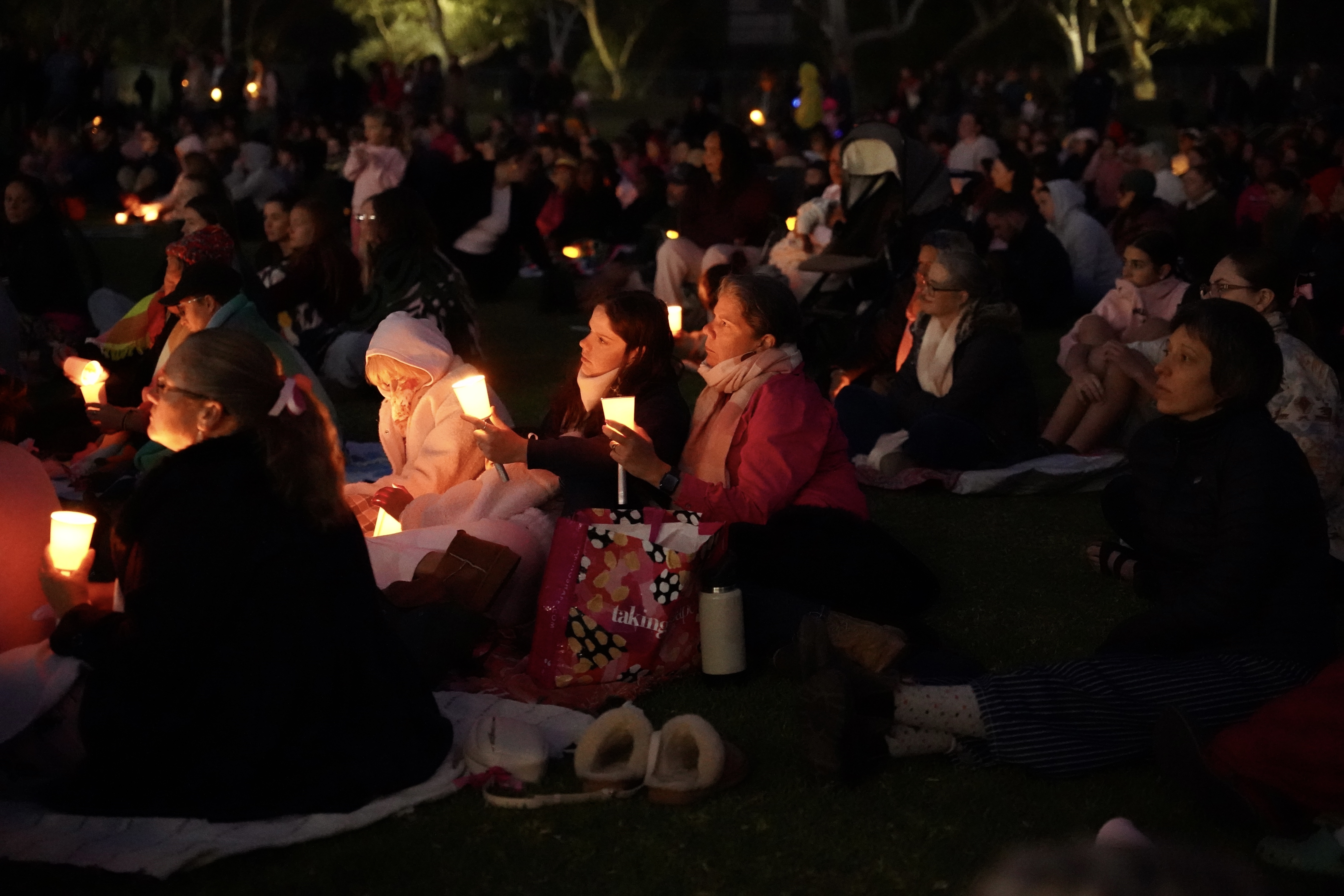 ALICE VIGIL CROWD.jfif