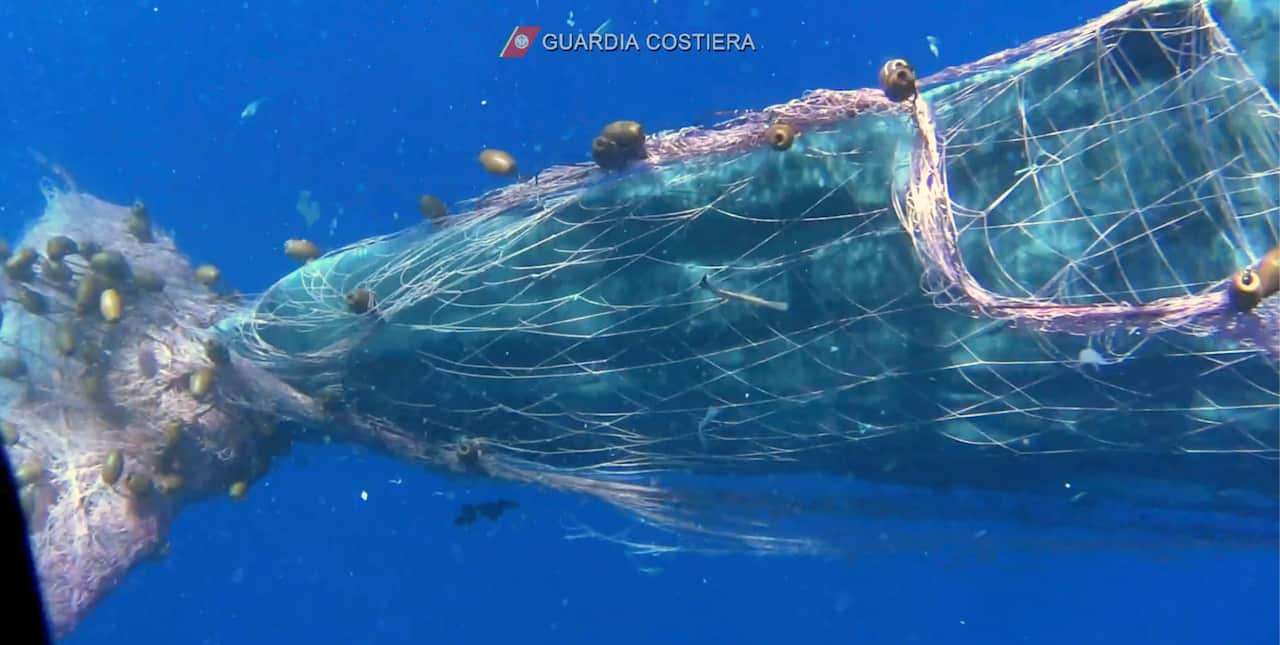 Pictures of the Week in Europe and Africa–Photo Gallery