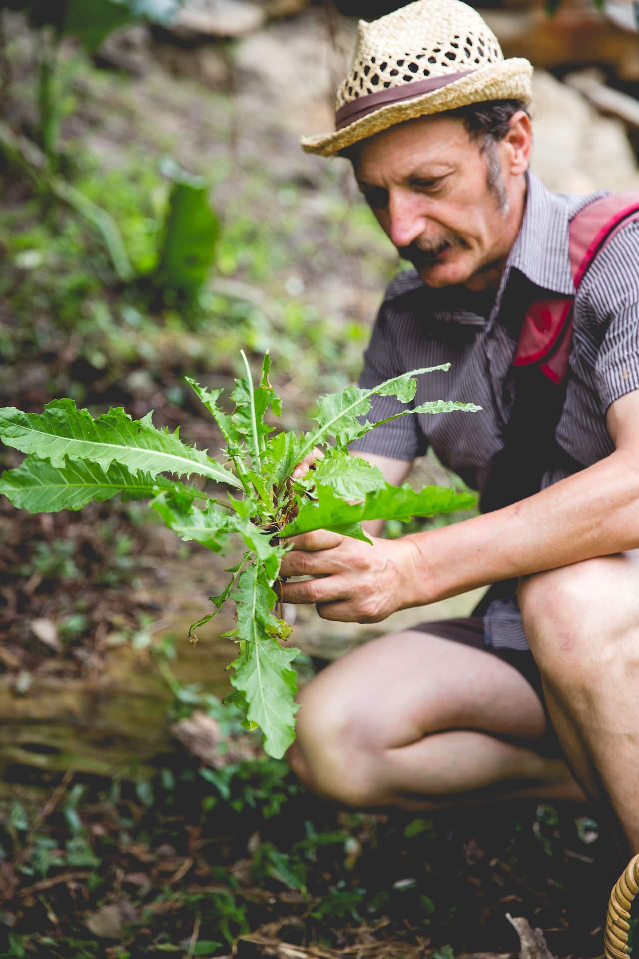 Diego Bonetto durante una delle sue lezioni sulle piante selvatiche commestibili