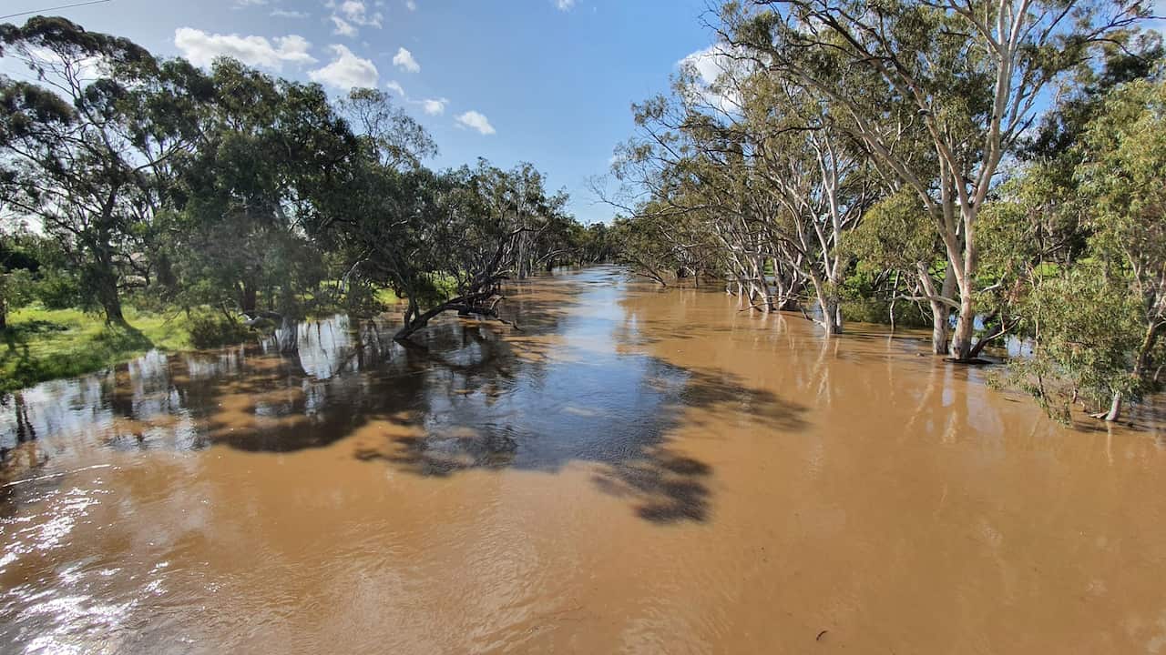 Rising floodwaters in Echuca.
