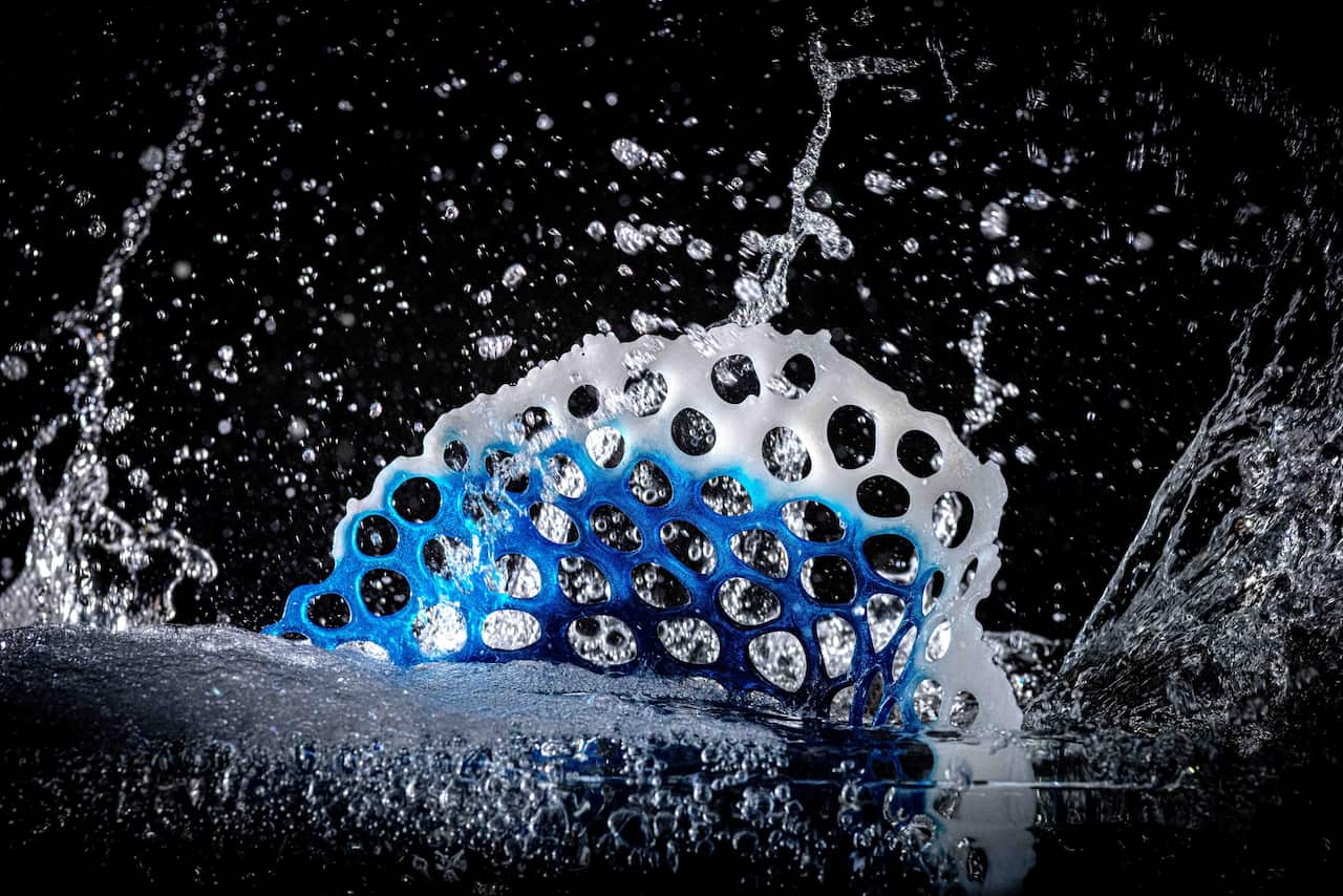 SALTWATERS by Sabrina Dowling Giudici - Image by Anton Blume.jpeg