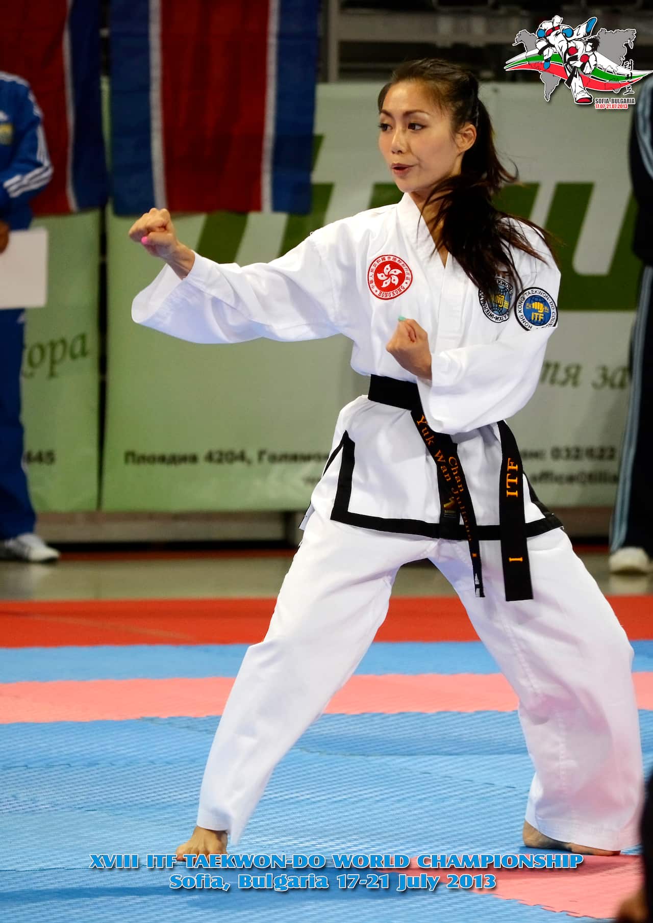 2013 Taekwondo World Championship.jpg