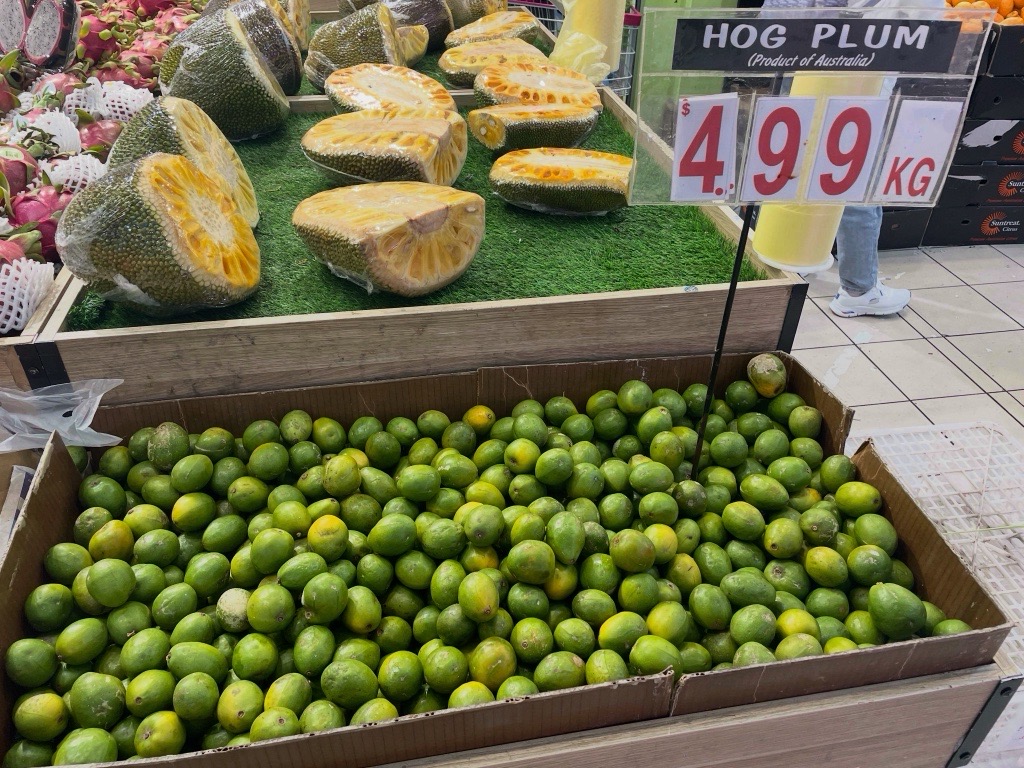 Hog plum.jfif