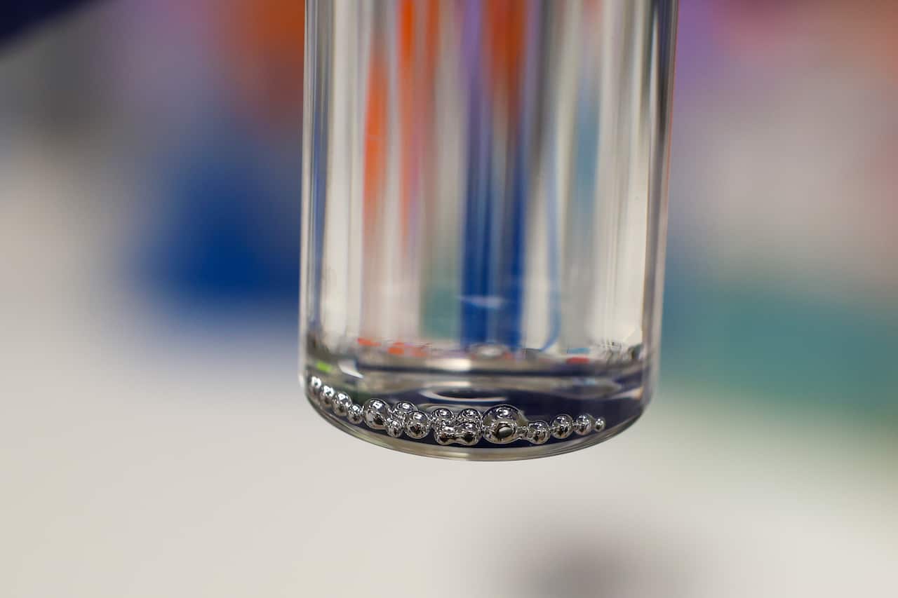 390A9810-2.jpg