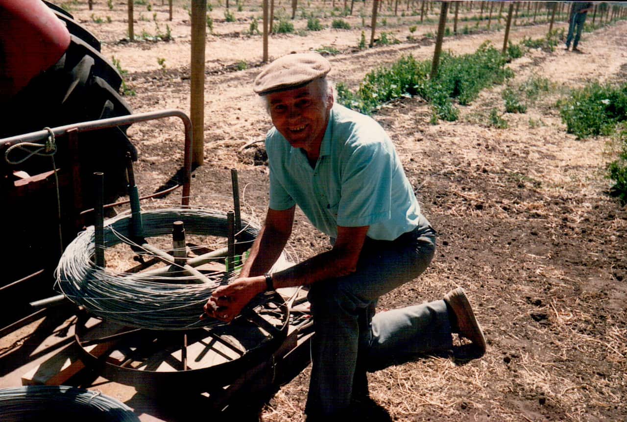 Karol establishing the vineyard in South Australia.jpg