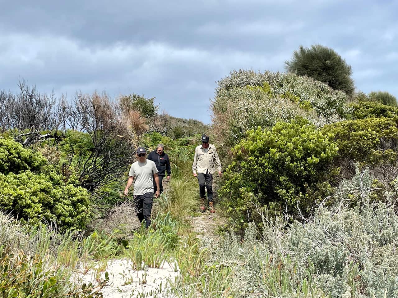 Rangers on lungtalanana[79].jpg