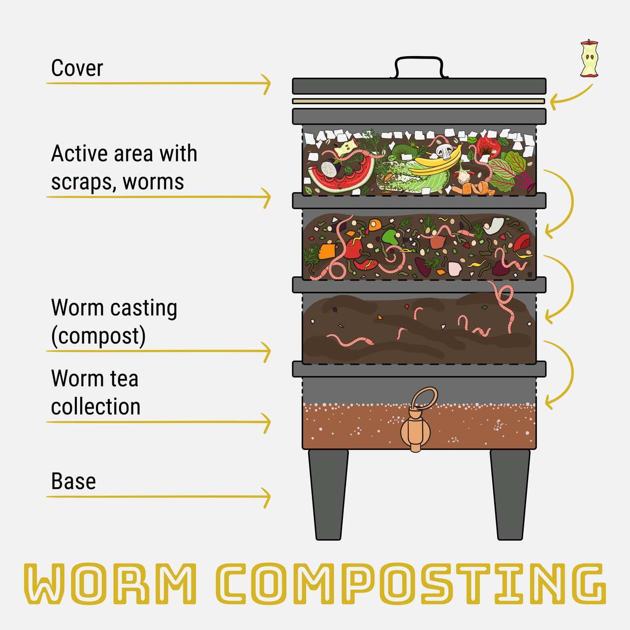 Infographic of vermicomposting. Components of vermicomposter. Vermicomposter schematic design. Worm composting. Recycling organic waste, fertilizer organic