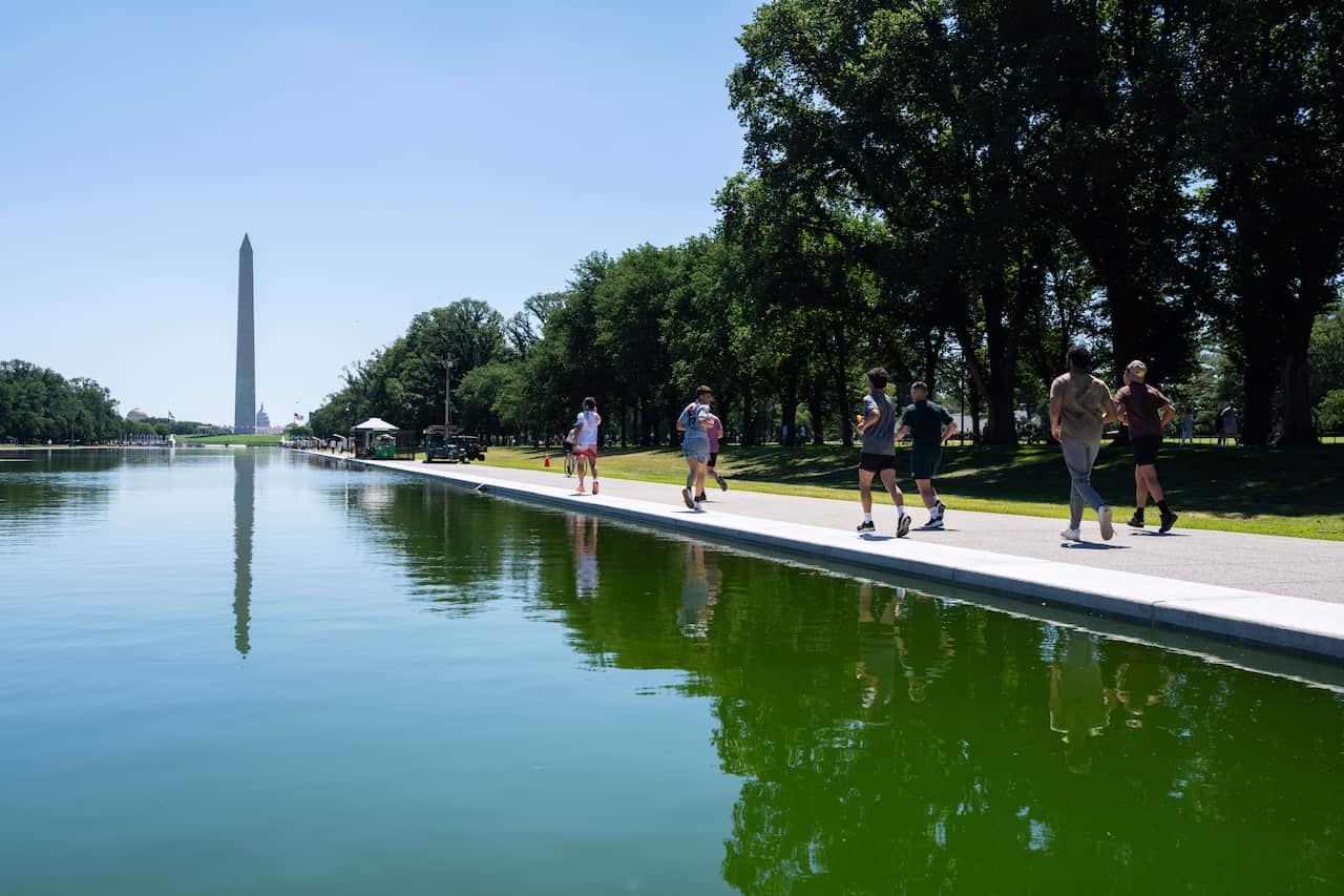 People walk past a green-tinged, man-made body of water with the Washington Monument in the background.
