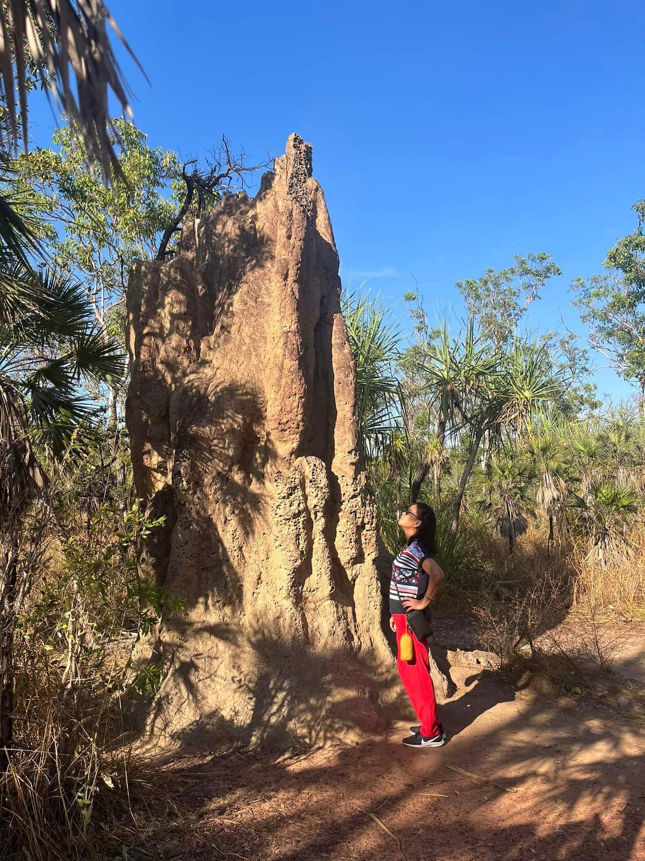 chi Thu Ha_The Cathedral termite mounds_Litchfield National Park_NT..jpg