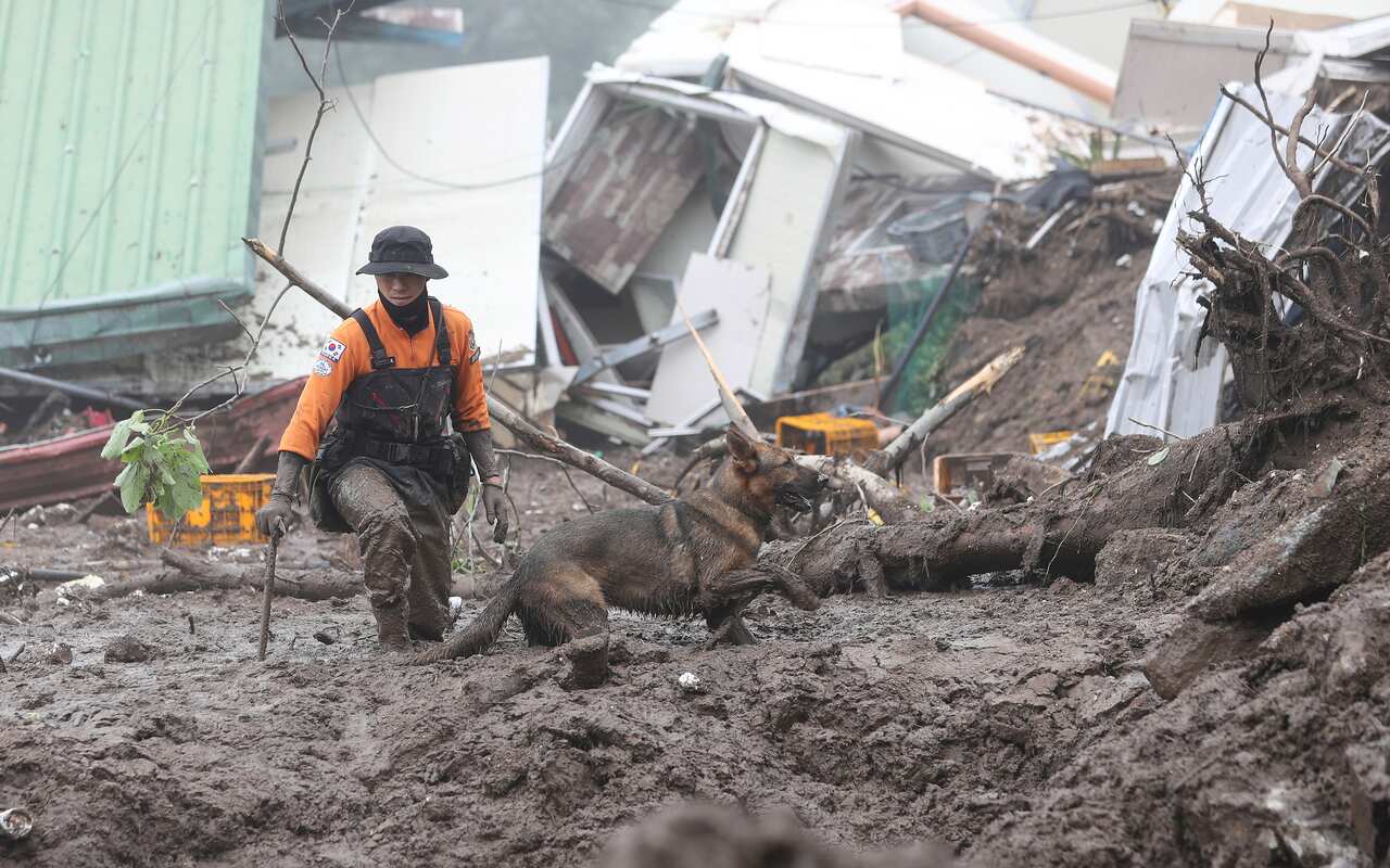 A person and a dog walking through mud.