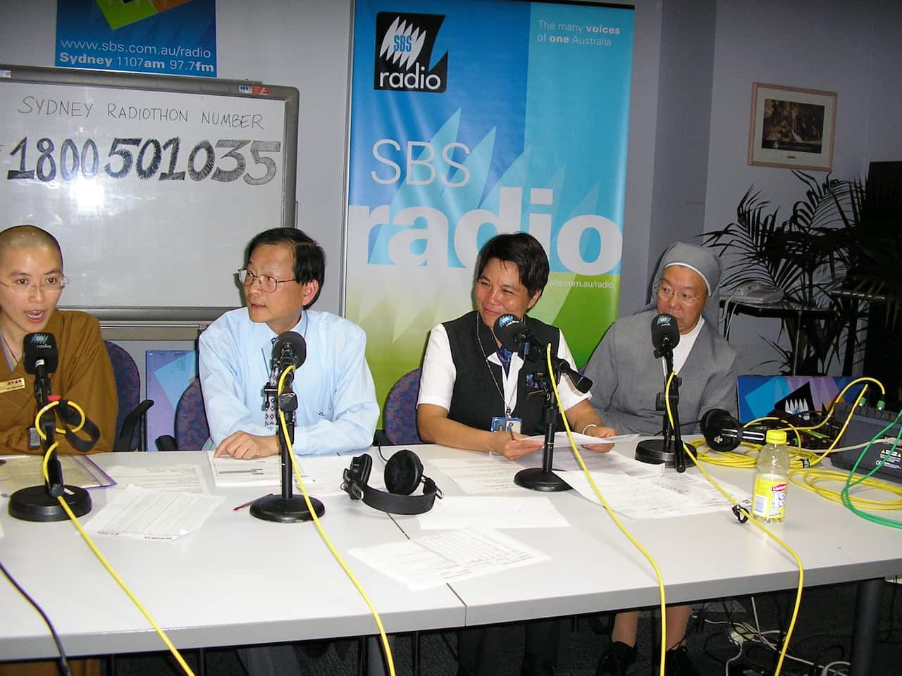 Multicultural Festival in 2016.JPG