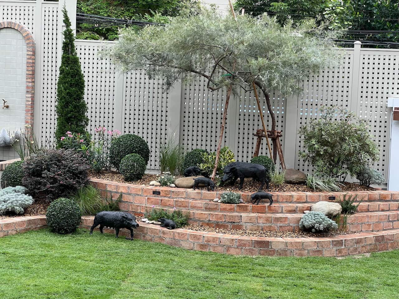 Australian garden.jpeg