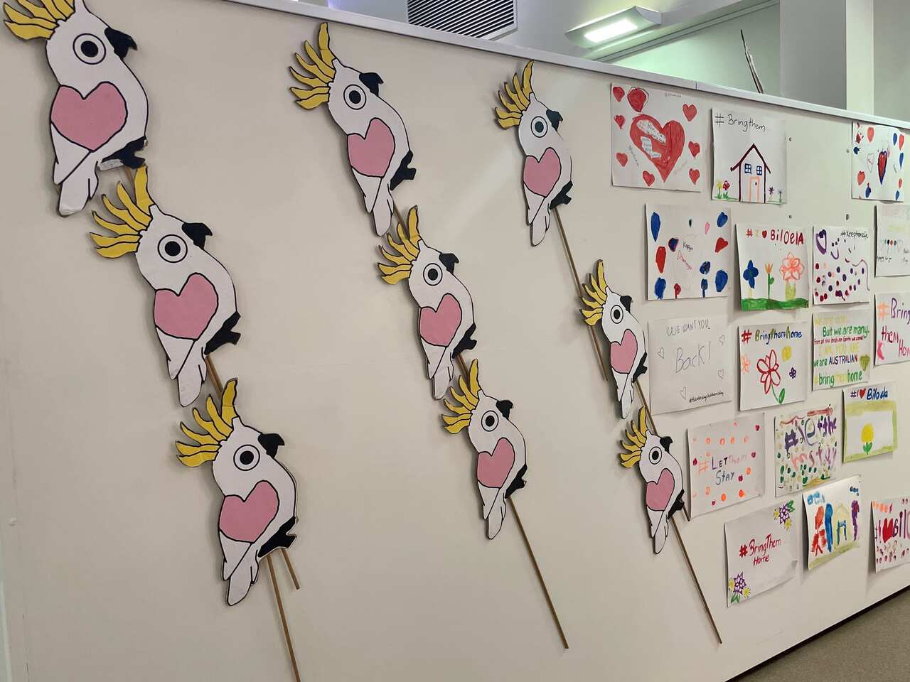 A series of crafted cockatoos are stuck on the wall with colourful drawings made by children. 