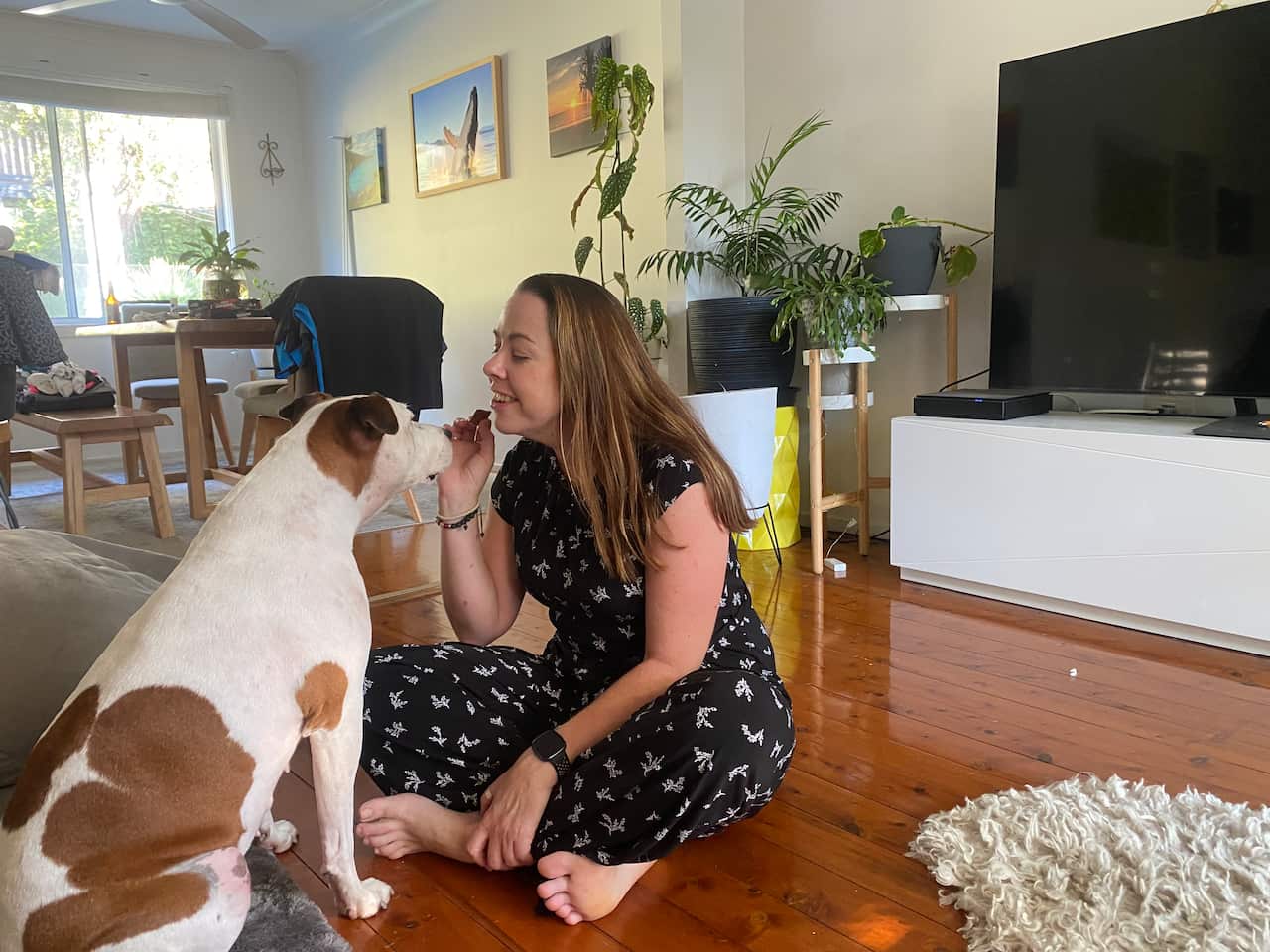 A woman sitting on the floor giving food to a dog