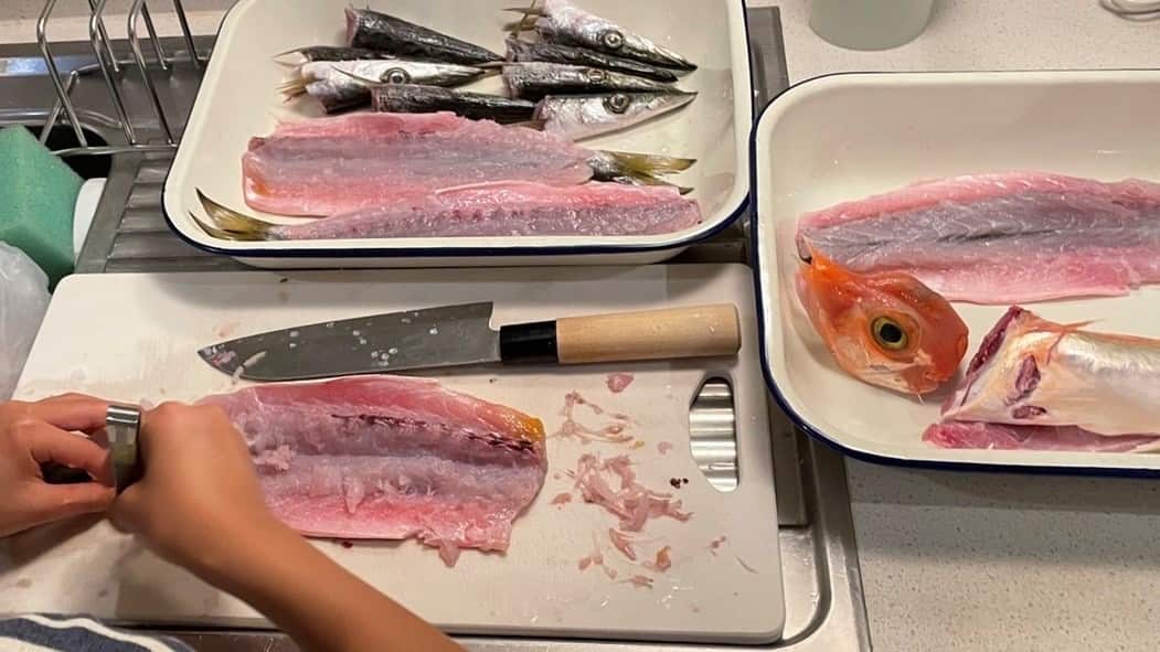 Tomaru53 カマスの干物作り.jpg