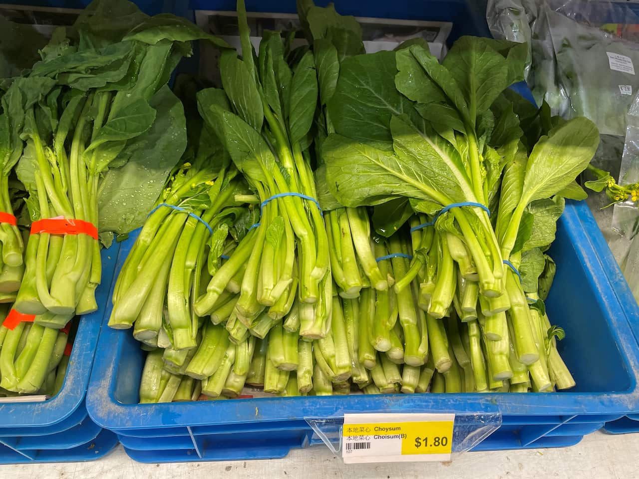 Tomaru123 Choysum.jpg