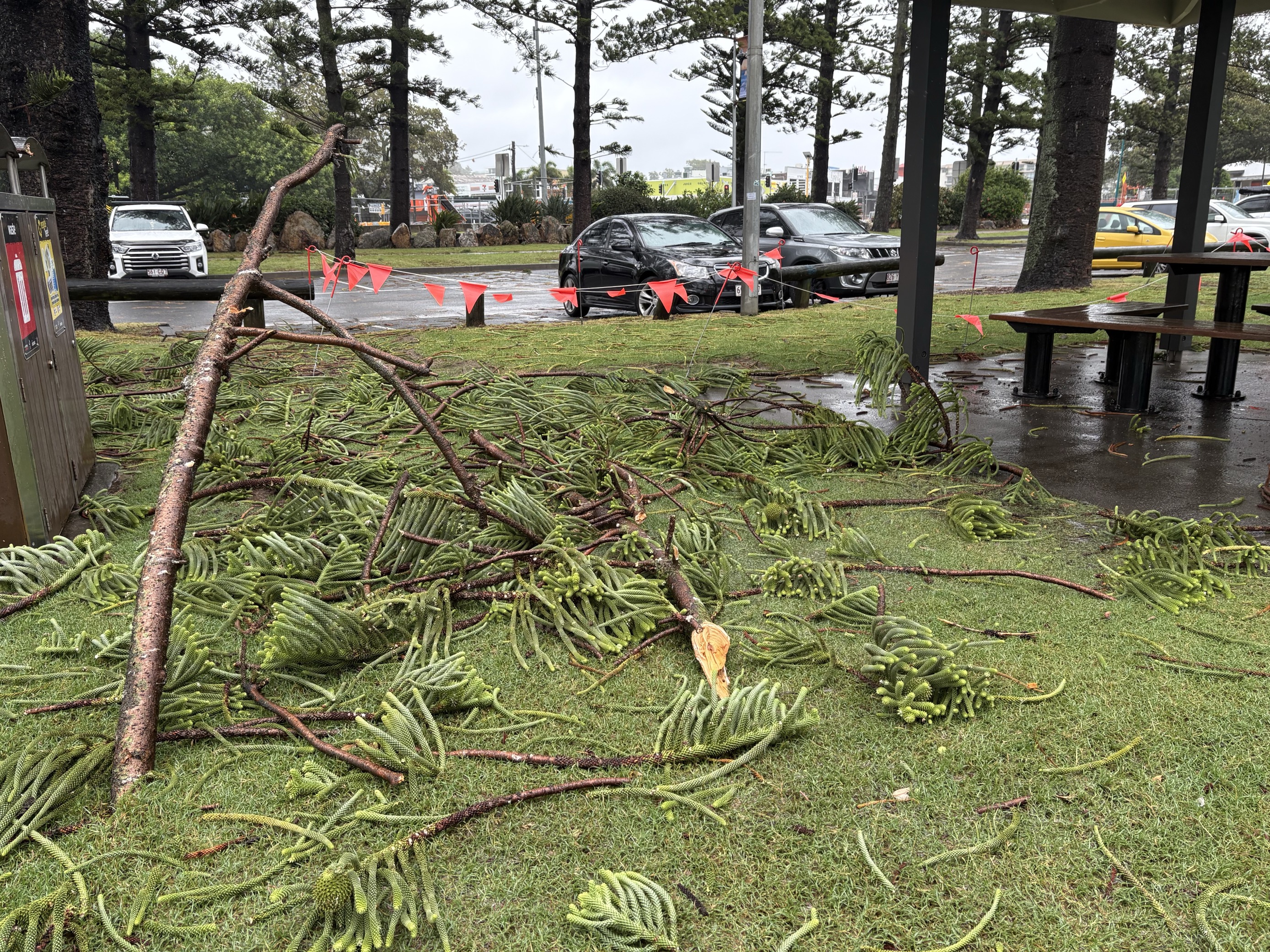 A fallen tree branch is fenced off on the grass near a public picnic table