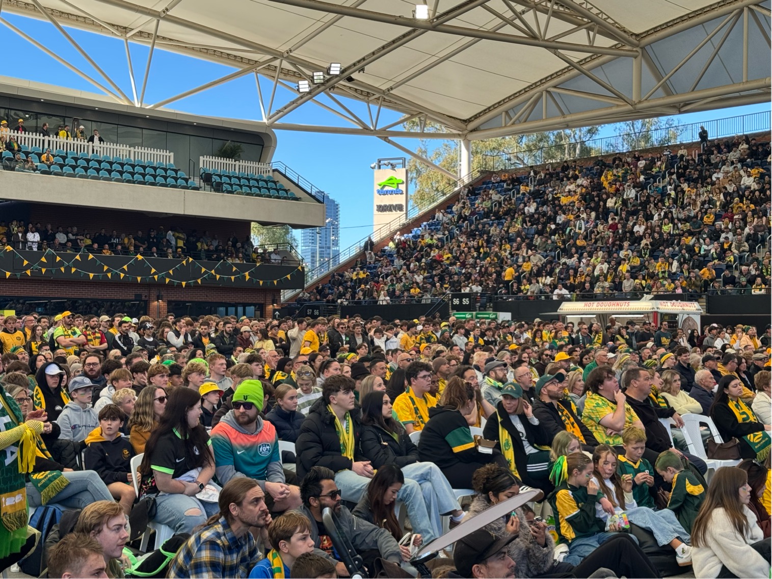Hundreds of people in green and gold sit in a stadium.