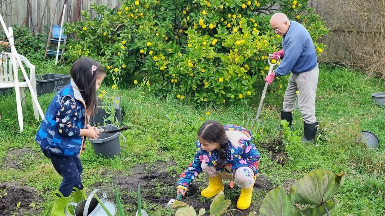 two young girls with black hair in rain gear and gumboots garden in a backyard with their grandfather, who is also wearing gumboots.