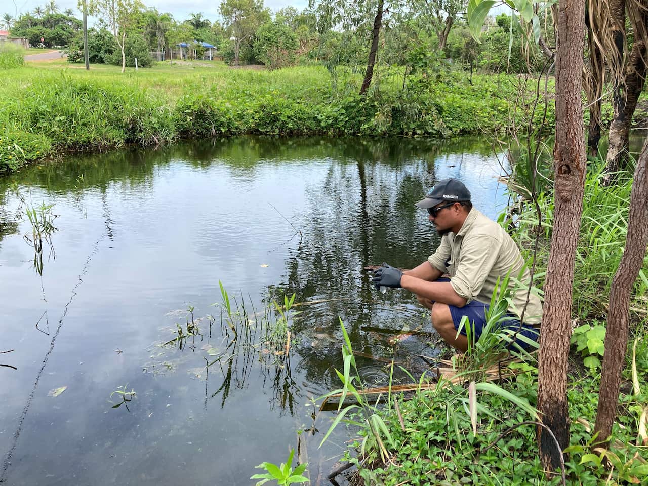 Ranger Nabako Laza collecting water sample for eDNA analysis on badu. 