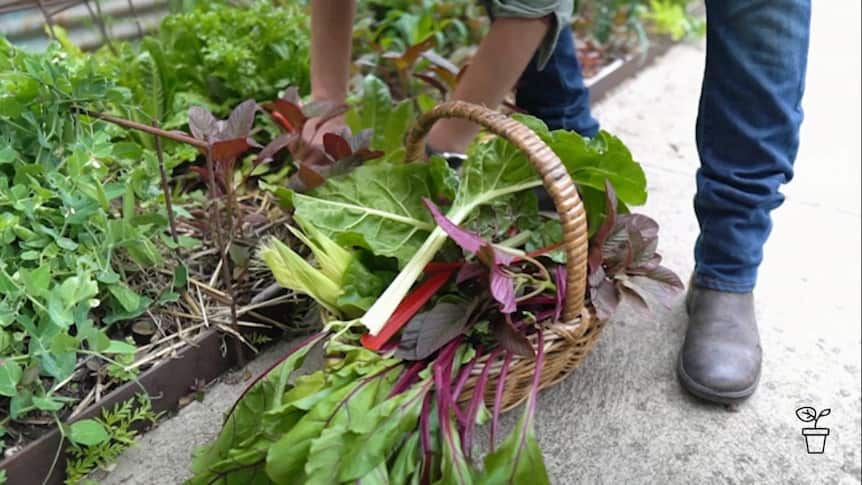 gardening autumn.jpg