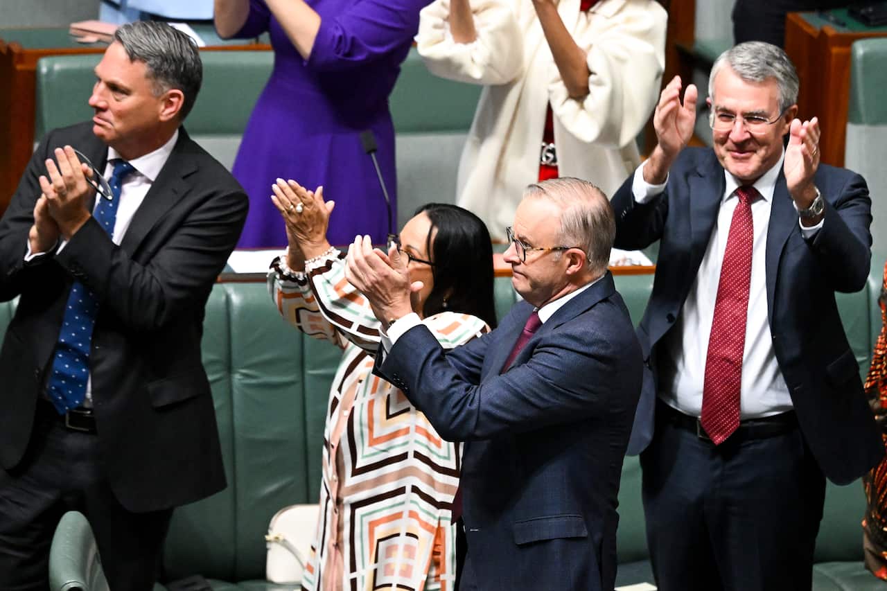 MARK DREYFUS VOICE PARLIAMENT