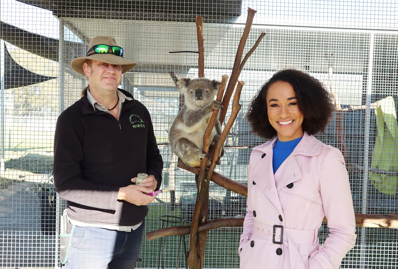 Living with Aussie Wildlife - Virginia and koala