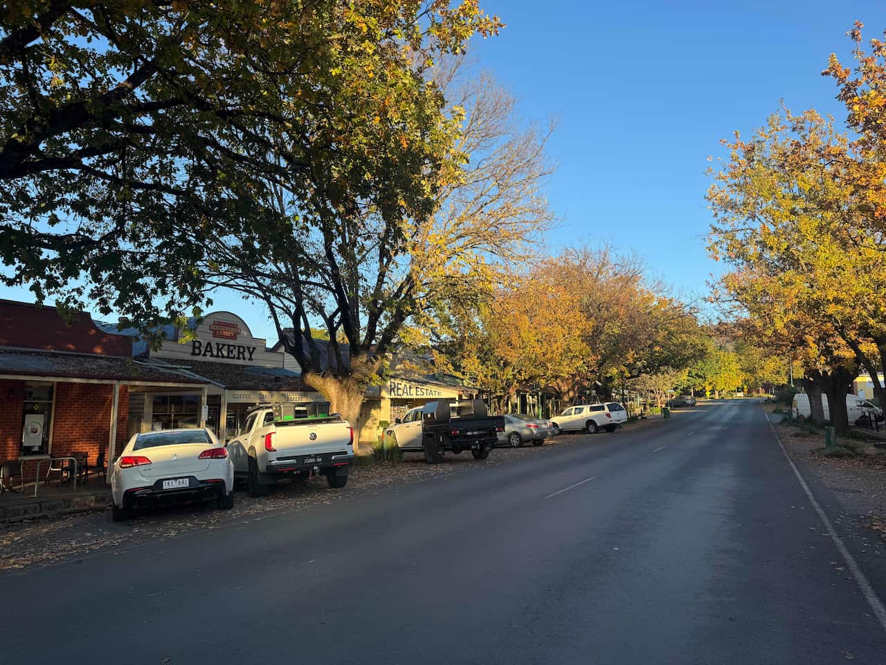 A street view of a deserted town market with cars parked outside the shops. The road is lined with tall trees.