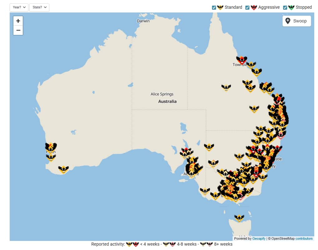 A map showing magpie swooping incidents across the country.
