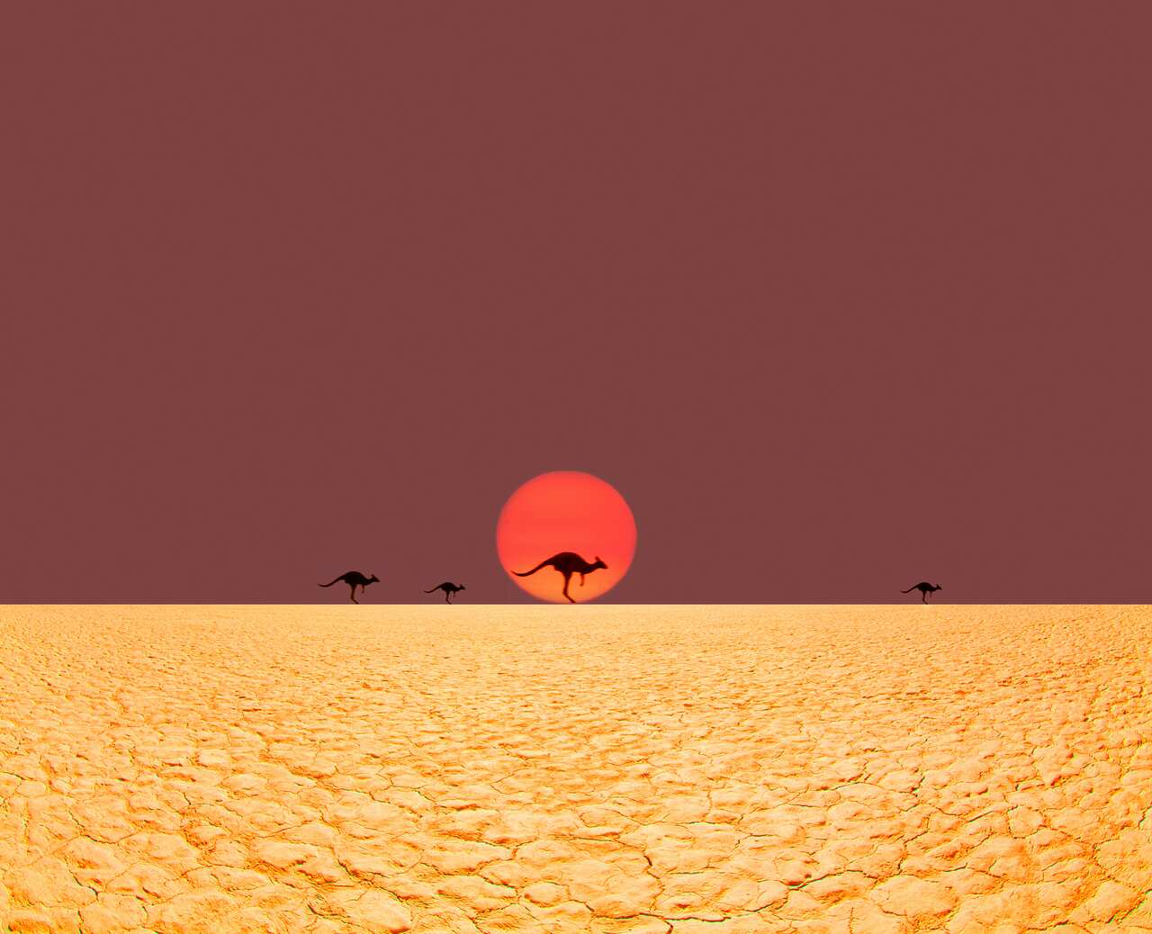 Kangaroos running in desert.