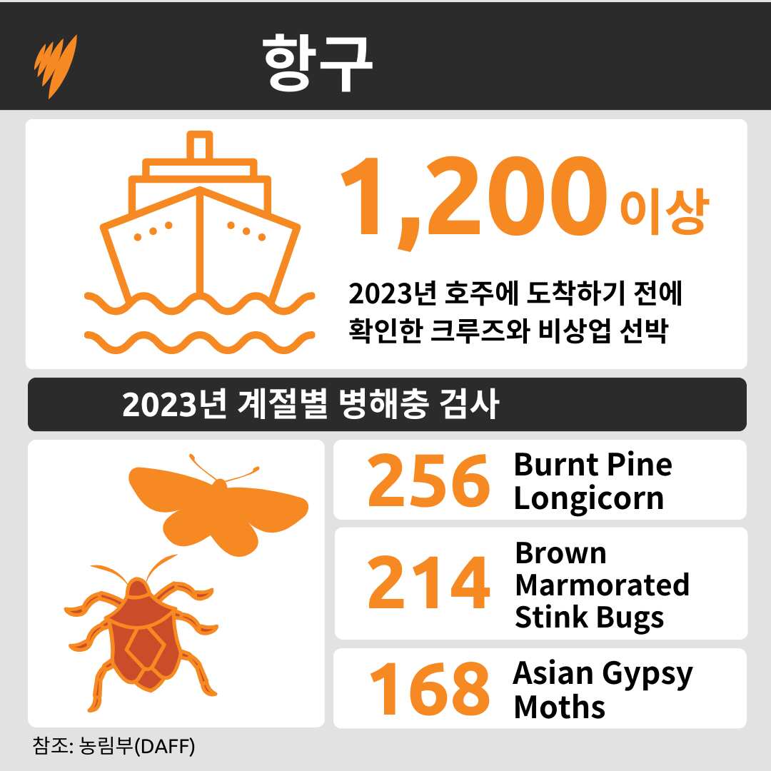 An infographic showing the number of vessels inspected in 2023, as well as the seasonal pests detected.